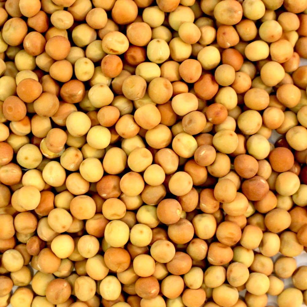 Dun Peas
