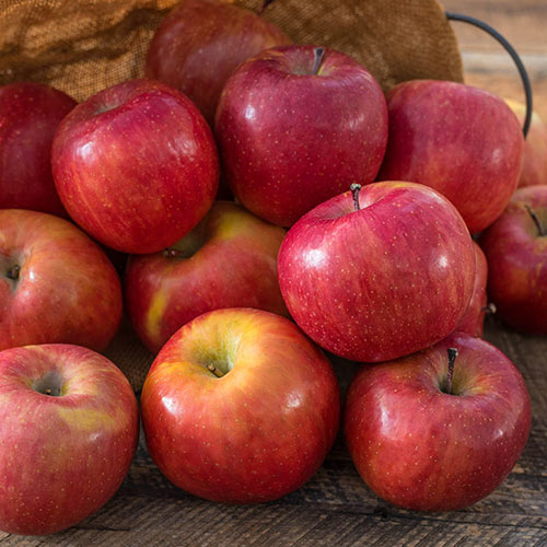 Fuiji Apples