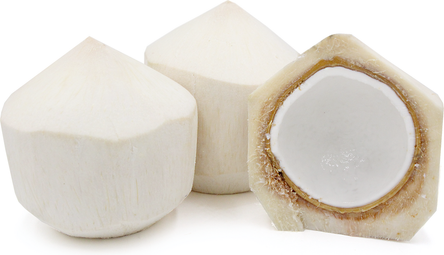 FRESH YOUNG COCONUT