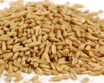 Oats kernel