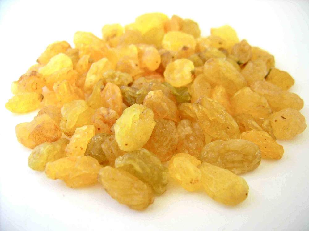 Gold Raisin