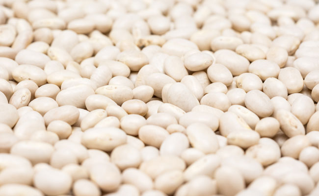NAVY BEANS
