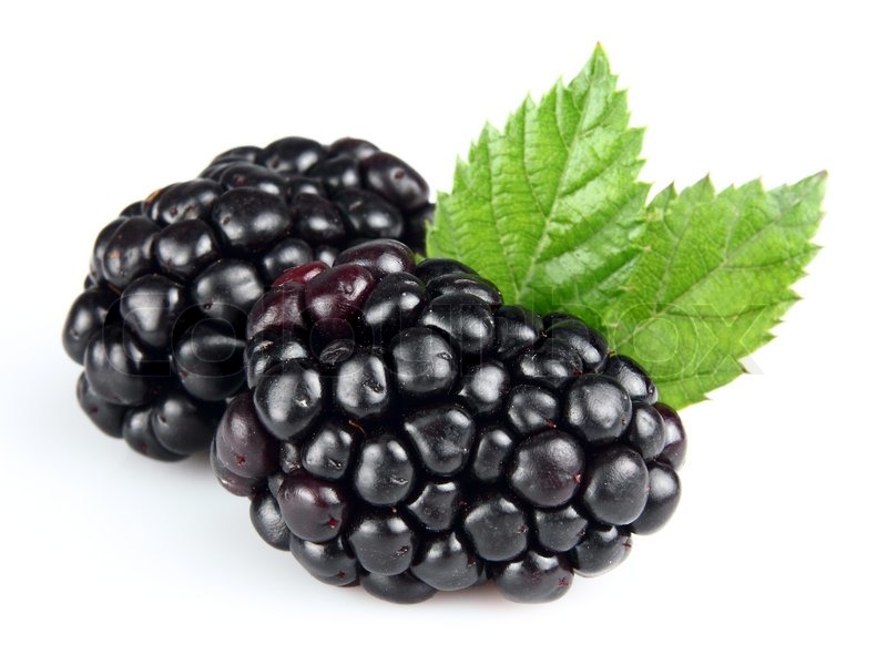 Fresh Blackberry