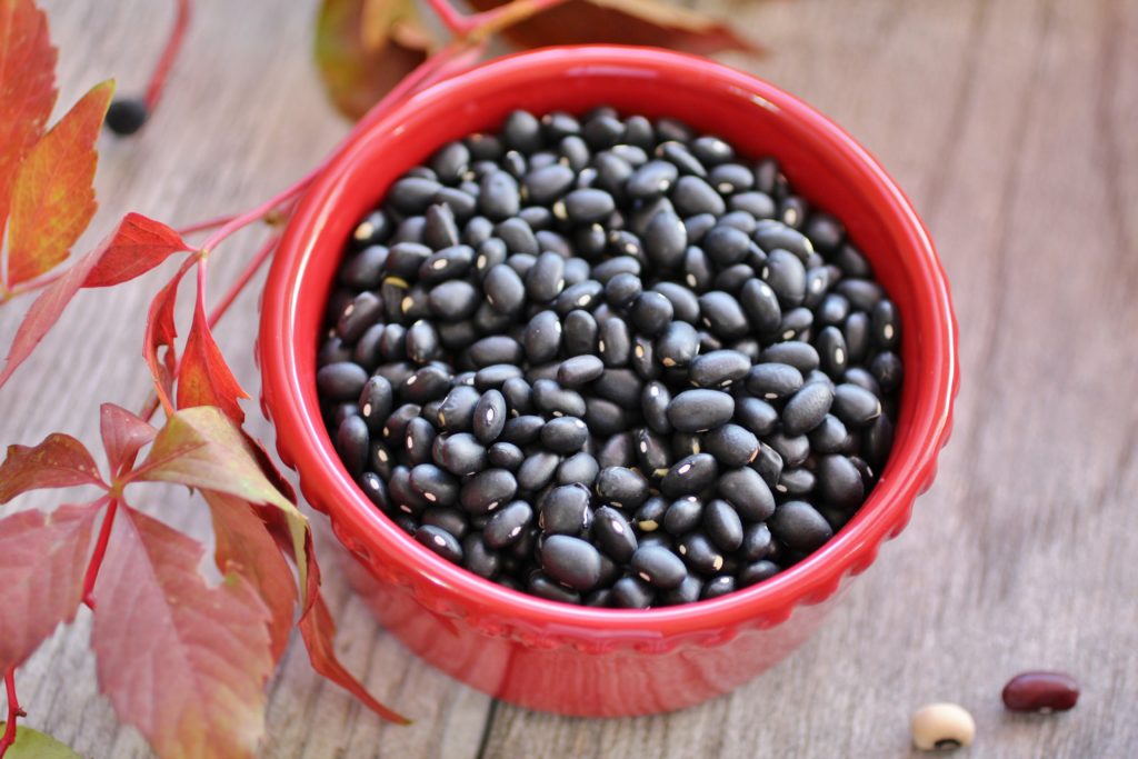BLACK KIDNEY BEANS/POLISHED BLACK KIDNEY BEANS