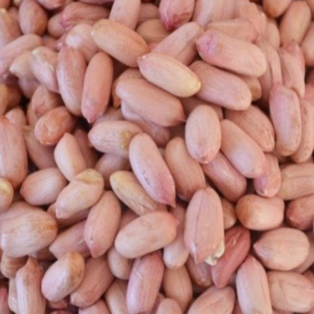 Round peanut 80/100