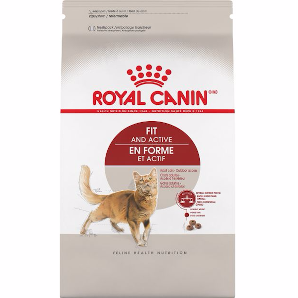 Royal Canin Fit 32 Dry Cats Foods