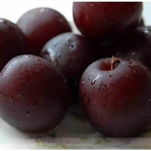FRESH PLUMS