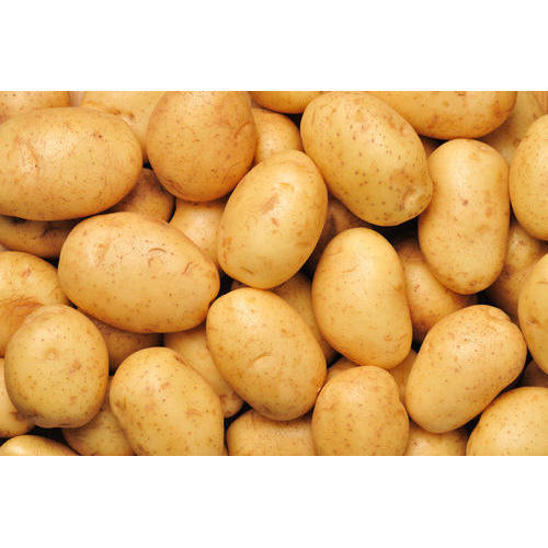 Fresh Potatos