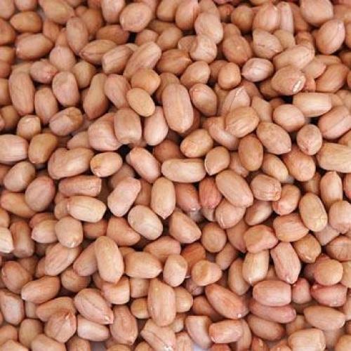 Raw peanut 45/55