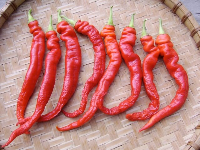 Chinese Red Pepper