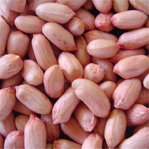 Round peanut 60/70